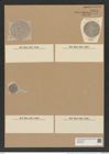 Aulacodiscus probabilis A. Schm. (de-Toni-Nr.: Genus 182, Species 4492) Zeichnungen Sammlung Grunow Nr. 8055 (NHMW-BOT-W0377369)